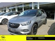 Opel Grandland, 1.2 Turbo EU6d 2020 Mehrzonenklima, Jahr 2020 - Niederahr