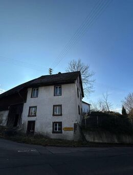 Einfamilienhaus / Ausbauhaus mit großem Grundstück - Rheinfelden (Baden)