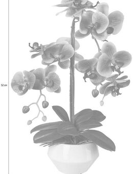Kunstpflanze Orchidee, Creativ green, Höhe 52 cm