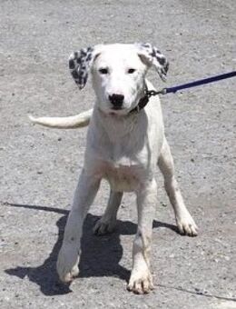 Winnifred ist lustig, offen und so lieb! - Karben
