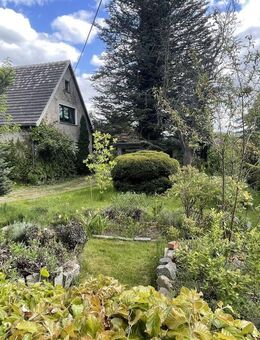 Familientraum in Elstra - Elstra