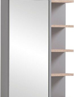 welltime Spiegelschrank Balto, Breite 49 cm Mit LED-Beleuchtung, Regal beidseitig montierbar
