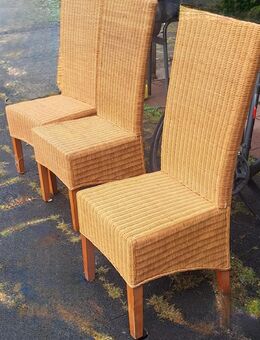 Rattanstühle mit langer Rückenlehne - Florstadt
