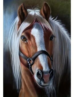 diamond painting Pferd 30x30 cm mit Zubehör neu - Kuchen