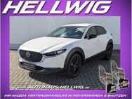 Mazda CX-30, 2.5 l (140PS) Homura 2025 NEU, Jahr 2022 - Hoyerswerda