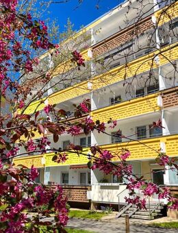 Unser Versprechen: 5-Raum-Wohnung zum Verlieben! - Zwickau