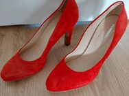 Pumps Highheels Salamander Wildleder NEU Gr. 40 - Dresden