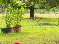 Wohnen im Grünen ! - Ludwigsfelde