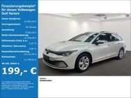 VW Golf Variant, 1.0 TSI VIII Life, Jahr 2024 - Velbert