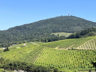 Repräsentatives, großzügiges Anwesen mit vielseitigen Nutzungsmöglichkeiten in Bestwohnlage mit traumhaftem Panoramaausblick