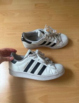 Adidas Superstar Größe 35,5 - Bielefeld Milse