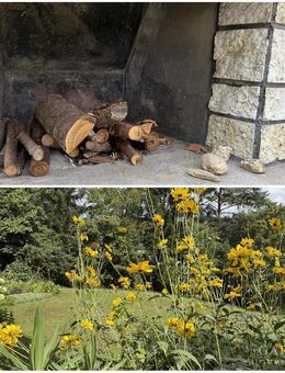 Heimkommen ... - Eichstätt