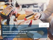 Automobilverkäufer (m/w/d) / Assistent Automobilverkauf (m/w/d) - Meckenheim
