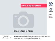 VW Touareg, 3.0 TDI R-Line BlackLine, Jahr 2023 - Prenzlau