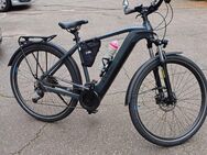 E-BikeTouring Hybrid ONE 625 Wh, 28 Zoll, - Pforzheim