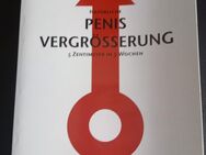 Natürliche Penisvergrößerung 5 Zentimeter in 5 Wochen - Schöneberg (Landkreis Altenkirchen (Westerwald))