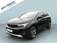 Opel Grandland, 1.2 Automatik Elegance, Jahr 2023 - Worms