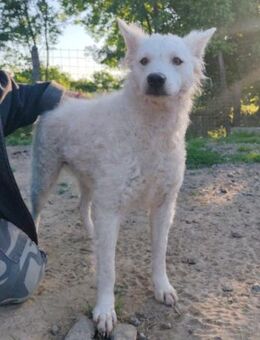 Sensible♥Jody♥ sucht Liebe & Verständnis - Hamburg