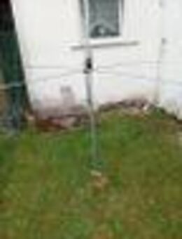 CB/ Amateur Ground Plane mit Stabiler Luftspule, 7/8 Lambda für Bänder 11,10, ( 15) - Sinzig Zentrum