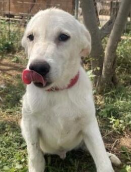 Meet Kenny! - Sehnde