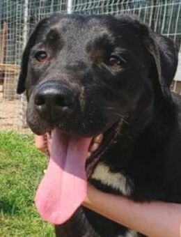 BOY sehnt sich so nach Liebe 💘 - Hof