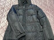 Winterjacke/Weste TommyHilfiger Gr. 152 - Braunschweig