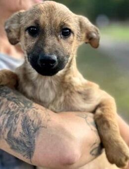 ILONI ~ so ein süüüüßes Ding - Duisburg