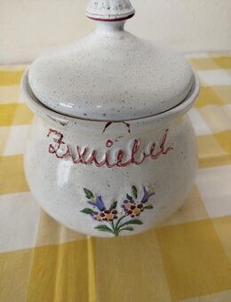Zwiebeltopf sucht neues zu Hause - Hanau (Brüder-Grimm-Stadt)