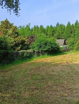 Leben direkt am Einsiedler Wald - Chemnitz