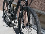 CARBON MTB Hardtail -tbr 29" - Bischberg