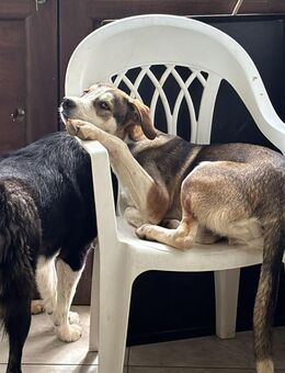 Kayo möchte gesehen werden - Celle