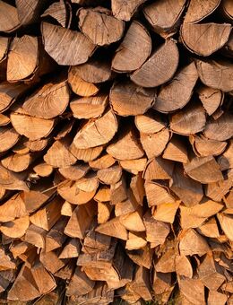 Brennholz Buche Ofenholz Kaminholz - Lauingen (Donau)