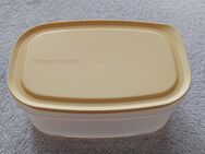 Tupperware Dose Junior Cool 'n fresh 640ml K9 - Löbau