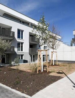 4-Zimmer-Wohnung in Brackenheim »Theodor-Heuss-Siedlung Haus 2« - Brackenheim