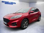 Ford Kuga ST-LINE X adapt. LED Navi ACC Kam. TWA - Freiburg (Breisgau)