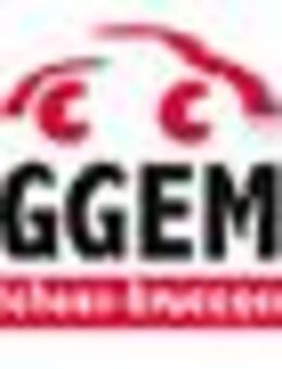 Leitung Vertriebsdisposition (m/w/d) Als Leitung unserer Fahrzeugübergabe-Abteilung - Rheine