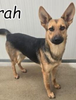 Kirah stellt sich vor 💖 - Essingen (Rheinland-Pfalz)