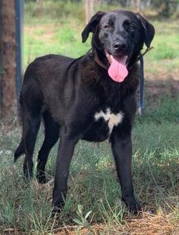 Lord sucht seine Familie - Untergruppenbach