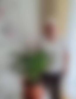 Mon*** - Plauen
