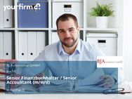 Senior Finanzbuchhalter / Senior Accountant (m/w/d) - Kirchardt