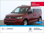 VW Caddy, , Jahr 2023 - Hanau (Brüder-Grimm-Stadt)