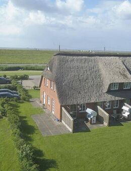 Ferienhaus unter Reet direkt am Nordseedeich - Nordstrand