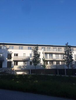 3-Zimmer-Erdgeschosswohnung mit großer Terrasse (Neubau 2022, A+, kein Gas, kein Öl) - Zorneding