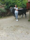 Partnerschaft in 69124