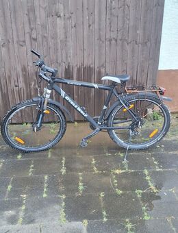 Fahrrad-Citybike Wolf - Florstadt