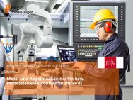 Mess- und Regelmechaniker*in bzw. Prozessleitelektroniker*in (m/w/d) - Mainz