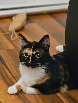 Mir fehlt einfach die Zeit - Lage (Nordrhein-Westfalen)