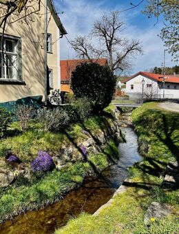 Denkmalcharme ! Große Erdgeschoss-Wohnung mit Terrasse und Garten - Salem (Baden-Württemberg)