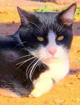 PRINZIPE - pure Lebensfreude::::::: - Kempen