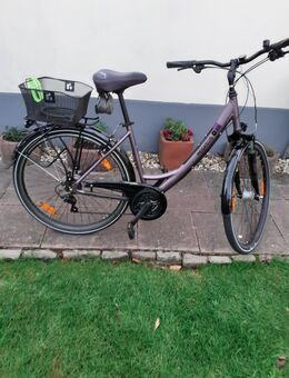 Pegasus Trekingräder - Würselen